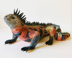 Iguana